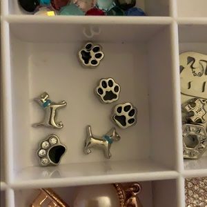 Origami Owl Doggy Charms Bundle